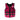 Ronix Laguna Youth CGA Life Vest (50lbs-90lbs)