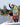 2026 Ronix Boy's Fish Sonic product video featuring youth action shots, specs, and the propeller fin system.
