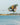 Pro rider Jake Pelot performing a massive indy grab backroll on his 2026 Ronix Supreme pro model wakeboard.