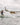 Man wakesurfing behind a boat on a Phase 5 wakesurf board – wakesurf gear collection from Wakesports