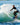 Wakesurf Boards For Sale | Wakesports Unlimited