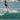 Female wakeboarder confidently cutting into the wake on a heelside edge using the 2026 Ronix Krush wakeboard setup.