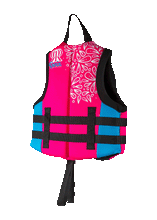 Load image into Gallery viewer, 2024 Ronix August Child CGA Life Vest - Wakesports Unlimited | Back View
