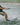 2025 Radar Origin Combo Water Skis | Wakesports Unlimited - Double Ski's