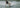 2025 Radar Origin Combo Water Skis | Wakesports Unlimited - Open Water Ski's