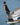 2025 Radar Vapor Water Ski Binding | Wakesports Unlimited - Action Shot