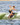 Beaux Wildman executing a technical surface 360 on the responsive Ronix Carbon Air Core 4 skimmer. 
