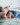 Rider learning how to get up on the easy to learn Ronix North Shore wakesurf board. 