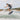 Dylan Matthews executing a technical body varial shuv-it on the 2026 Ronix OSMO Skimmer.