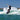 Pro rider Massi Piffaretti throwing a massive heelside spray on the 2026 Ronix Sea Captain.